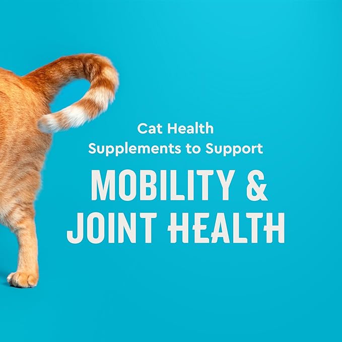 VetIQ Hip & Joint Supplement for Cats, Chicken Flavored Joint Health Supplement with Glucosamine and Green Lipped Mussel for Mobility and Arthritis Support, 3.7oz