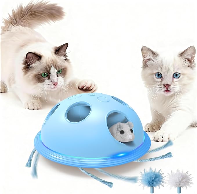 Pawingcat Interactive Cat Toys for Indoor Cats with Plush Mouse and String | Automatic String,Hide and Seek ,Blue