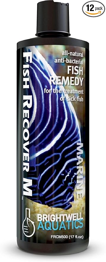Brightwell Aquatics Fish Recover M – Botanical Remedy for Treating Marine Fish Health Issues, 500 ml