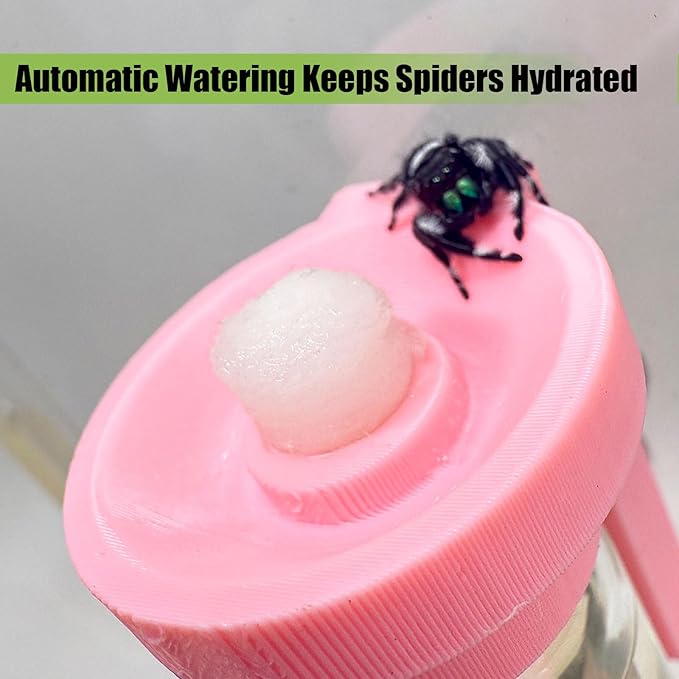 Jumping Spider Water Dispenser, Magnetic Hanging Feeder,Suitable for Jumping Spiders,Tarantulas, Praying Mantises,Arboreal Animals, and Other Small Animal Enclosure Accessories (Pink, 10ML)