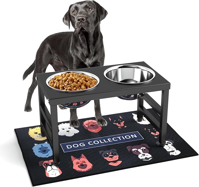 Metal Raised Dog Bowl, 10" Elevate Dog Feeder Stand, 2 Bowls & Non-Slip Mat