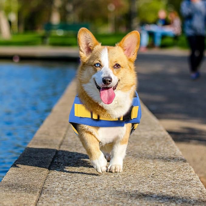 Dog Life Jacket, Adjustable Dog Life Vest, Pet Lifesaver for Swimming, Shark Life Jacket with Rescue Handle, Rip-Stop Safety Vest for Small Medium Large Dogs