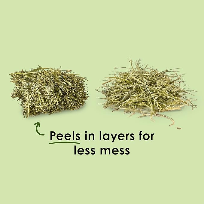 Kaytee Wafer Cut All Natural Timothy Hay for Pet Guinea Pigs, Rabbits & Other Small Animals, 60 Ounce