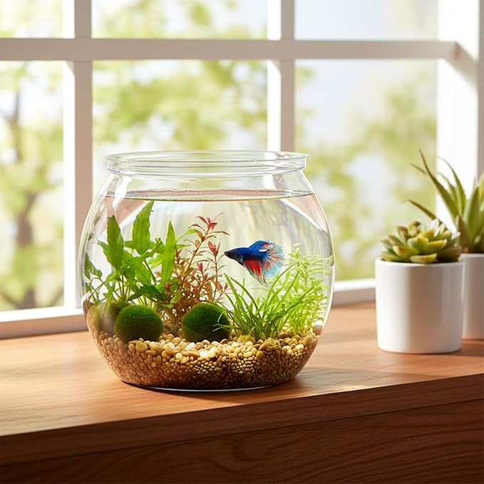 InnoHHustle Mini Plastic Fish Bowl 30 oz Decorative Small Fish Tank Unbreakable Aquarium Starter Kit for Centerpiece Vases Party Decorations