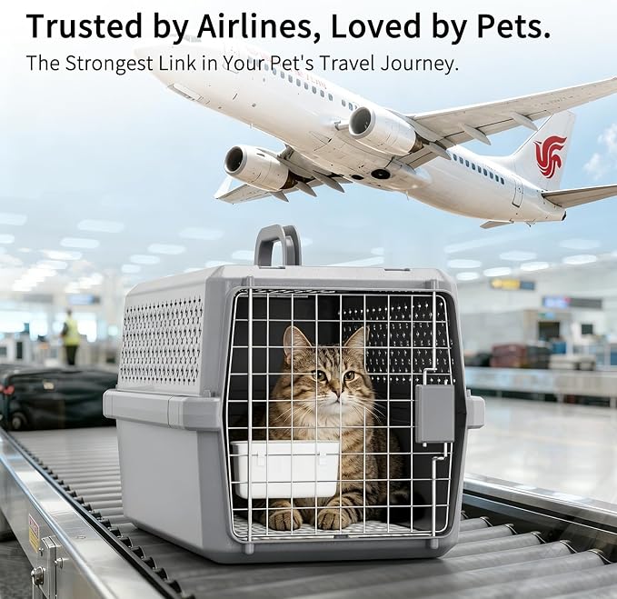 RIZZARI Gray Pet Carrier for Medium Dogs & Cats, Hard-Sided Travel Kennel | Spacious Interior,Reinforced Side Latches,Stable Carrying Handle,Wide Front Entry,Supports Daily Travel,Light weight to Carry