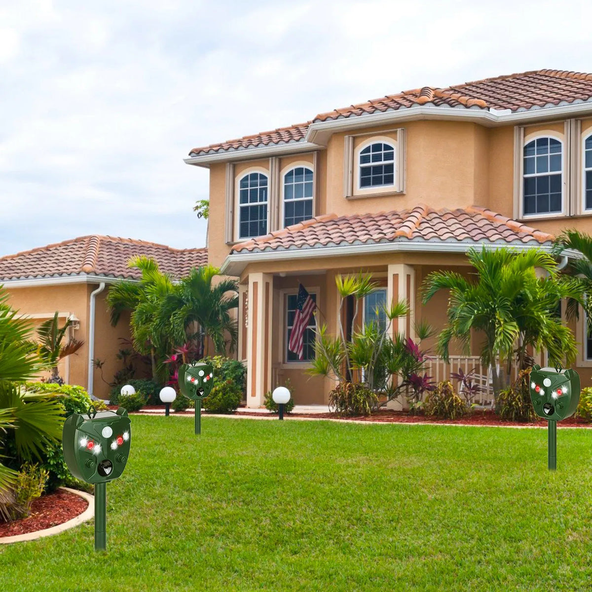 60938ff162648cdc37f6e244a52d0056