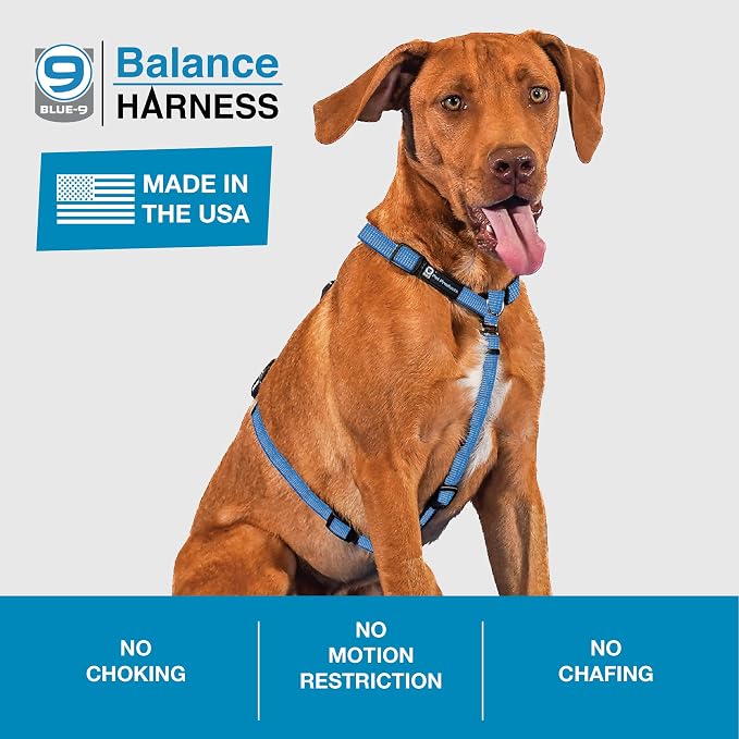 Blue-9 Reflective Buckle-Neck Balance Harness, Fully Customizable Fit No-Pull Harness with 3M Reflective Stitching, Ideal for Dog Training and Obedience, Made in The USA, Blue, XS