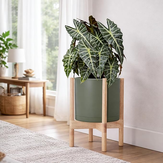 D'vine Dev Plastic Pot with Natural Wood Stand, Olive, 10 in, 55-C-M-3 | Mid-Century Inspired Design, Elevated Plant Display, Clean Lines, Sturdy Support, Modern Space-Saving Style