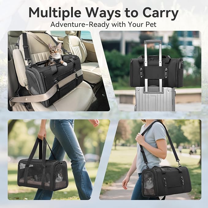 PETSFIT Large Cat Carrier with Patented Safety Buckles,Big Cats Up to 20 lb | Secure Carrier for Safe Driving, Lockable Zippers, Safety Tether, Travel Pet Carrier for Trips & Vet Visits,19 x 12 x 12