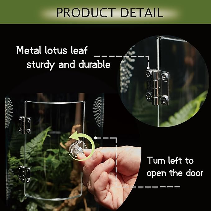 Acrylic Terrarium for Reptiles & Spiders – Small/Medium/Large Leak-Proof Enclosure (Horizontal/Vertical) | Ideal for Tarantulas, Jumping Spiders, Frogs & Geckos(Medium, Round)