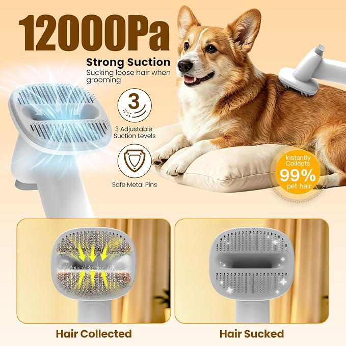 Dog Grooming Kit with Vacuum, 12000Pa Pet Electric Clipper & Nail Grinder | PG01 Plus 8-in1 Pet Grooming Kit, Low-Noise Dog Vacuum for Shedding Grooming, Pet Hair Remover Vacuum