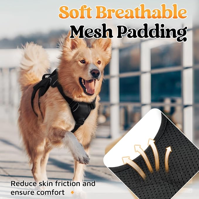 rabbitgoo Escape Proof Dog Harness for X-Large, No Pull with Lift Handle | No Escape, Full Soft Padded, Reflective Adjustable Vest, Leash Clip for Walking Hiking Training, Black, X-Large