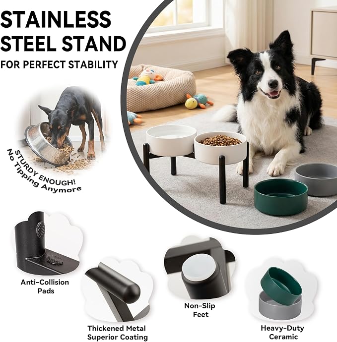 Raised Ceramic Dog Bowl Set with Stand, 7.5 Cups Elevated Dog Food Stand | 8.4'' Double Dog Food and Water Bowl Set, Non-Slip Dog Feeding Dishes for Small Breeds and Cats, 59.2 OZ, Green