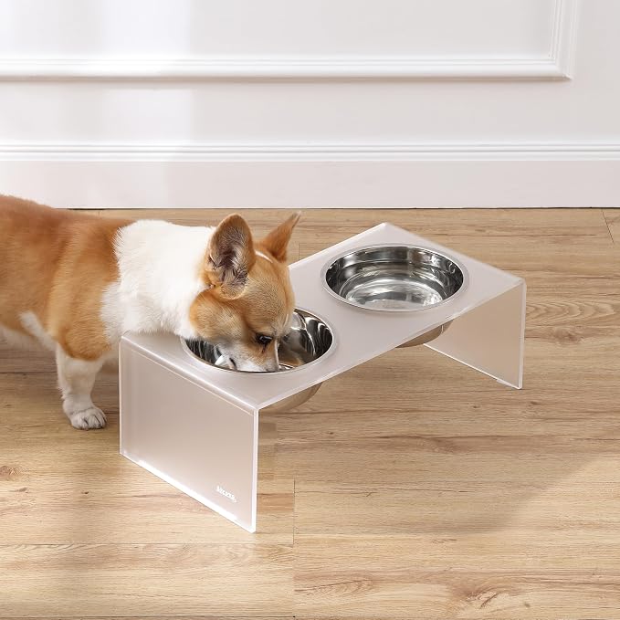 DBL2001K Keaton 7.5" Medium/Large Modern Acrylic Rectangular Elevated Pet Feeder with 54oz 2-Stainless Steel Bowls, Moon White/Chrome