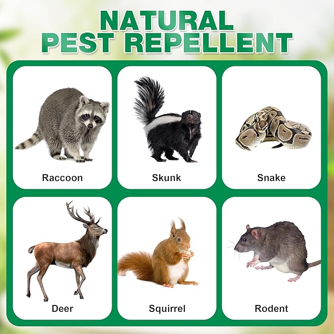 36 Pack Peppermint Skunk Repellent, Natural Raccoon Repellent Keep Skunks Out from Outdoor Yard Under House Attic Garden, Long-Lasting Protection, Safe for Dogs and Children, Green