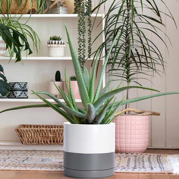 D'vine Dev 10 Inch Ceramic Planter Pot, White/Grey, 94-O-E-6 | Modern Cylinder Design, Drainage Hole & Saucer Included, Stable Structure, Elegant Home Accent