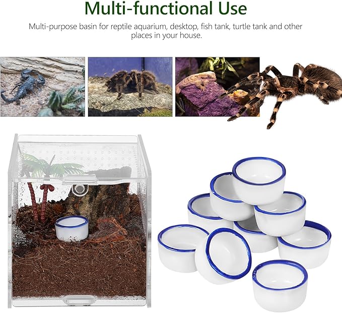 12pcs Small Ceramic Water Feeder Bowls and Spiders Mini Reptile Tank Water Containers Terrarium Basins for Small Pets