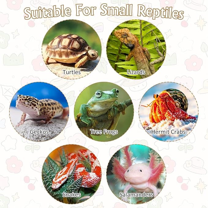 Reptile Bathing Pool 2-in-1 Tortoise Water Dish with Ramp Turtle Feeding Bowl with Steps Plastic Reptile Food & Water Dishes 7 Pcs Gecko Habitat Decoration Accessories Lizard Bath Tub