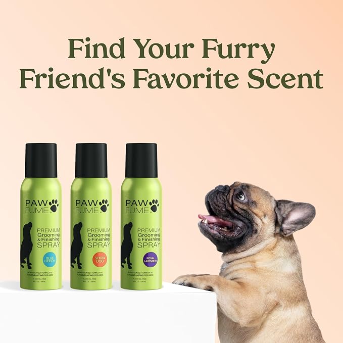 Paw Fume Dog Perfume Spray Long Lasting, Show Dog, 1-Pack | Hypoallergenic, alcohol-free detangling formula keeps pups fresh all day, moisturizing Pet Cologne Spray for Dogs
