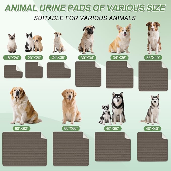 Washable Pee Pads for Dogs Puppy Pad, Coffee 20”x20” 2 Pack | High Absorbent Dog Pee Pad Leak Proof Cat Rugs, Reusable Non Slip Pet Mat, Wee Wee Pads for Training, Crate and Floor