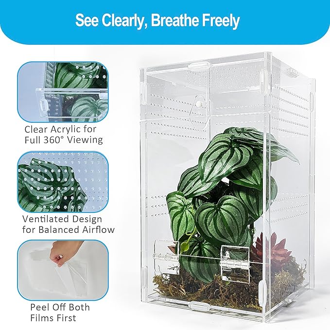 Jumping Spider Enclosure 6”x6”x10”, Arboreal Tarantula Enclosure, Praying Mantis Terrarium Critter Cage for Jumping Spider, Tarantula, Mantis, Snail, Isopods, Beetles, Millipedes