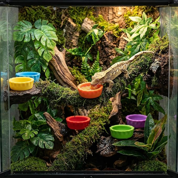 7 Pack Crested Gecko Food Dish and Water Bowl Small Reptile Feeding Cups Reusable Hermit Crab Food Dish Feeder &Corner Foods Dishs Gecko Water Bowl for Bearded Dragon Tank Tortoise Isopods Crab