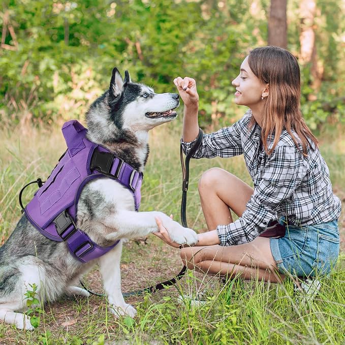 WINGOIN Purple Tactical Dog Harness for Medium Dogs,No Pull Dog Harness | with Handle,Adjustable Reflective,Military K9 Style,Big Size Dog Vest,for German Shepherd,for Walking Training Hunting