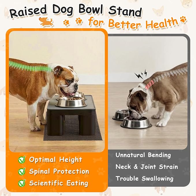 2 Pcs Elevated Dog Bowl Stand with Waterproof Dog Food Mat, Non-Slip, Black | Reduce Neck & Joint Strain, Easy to Clean Silicone Pet Feeding Mat, Sturdy Legs, Ideal for Small & Medium Dogs and Cats
