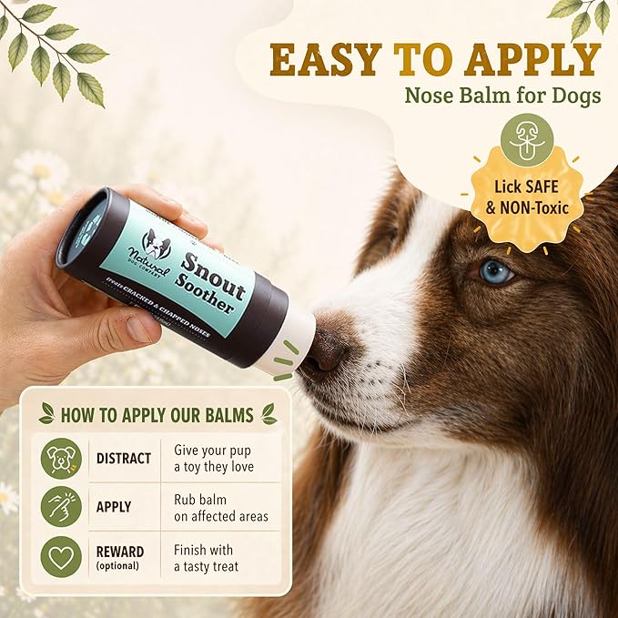 Natural Dog Company Snout Soother Dog Nose Balm – Moisturizing Care for Dry, Crusty, Cracked Noses with Coconut Oil & Shea Butter, Lick Safe Dog Snout Balm for All Breeds – 0.15 oz Travel Stick