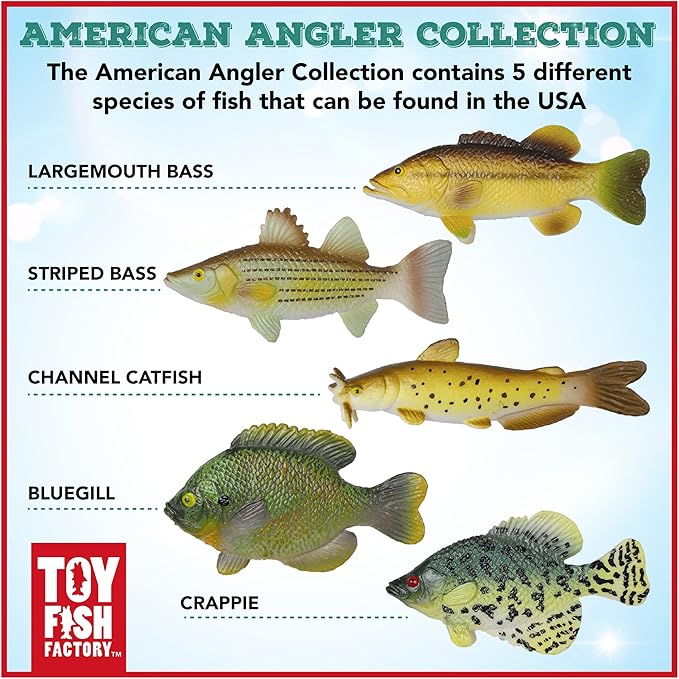 Toy Fish Factory American Angler Collection Toy Fish Set, Toy Fish Figurines, Largemouth Bass Catfish Bluegill Crappie Striper, Educational Toy, Fish Cake Topper, 3” Long