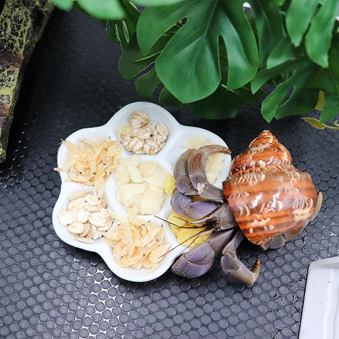 3 Pack Hermit Crab Food Bowl & Water Dish, Ceramic Hermit Crab Feeder Kit, Suitable for Hermit Crab Tarantula Snail