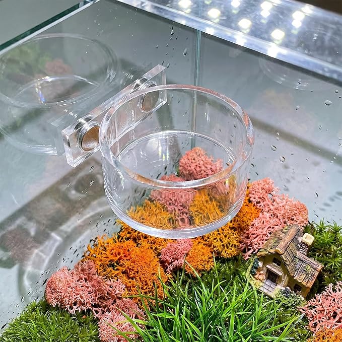 Jumping Spider Feeding Dish with Tweezers, Tiny Magnetic Water Bowl Spider Enclosure Accessories 1 PCS 4x2cm