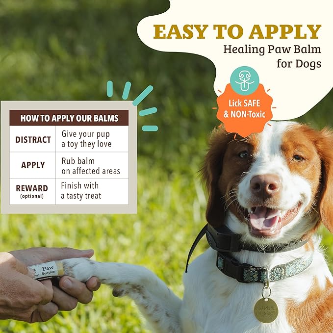 Natural Dog Company Paw Soother Balm & Wax - Dog Paw Balm & Moisturizer for Dry, Cracked Paw Pads, Helps Moisturize & Condition Winter-Worn Paws, Coconut Oil & Calendula, Daily Paw Care, 0.15 oz Stick