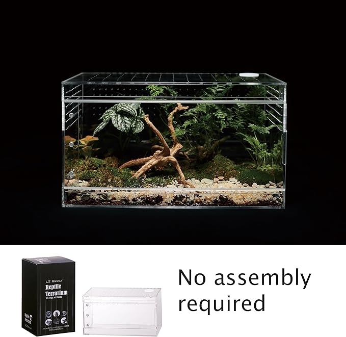 Acrylic Terrarium for Reptiles & Spiders – Small/Medium/Large Leak-Proof Enclosure (Horizontal/Vertical) | Ideal for Tarantulas, Jumping Spiders, Frogs & Geckos (Large, Horizontal)