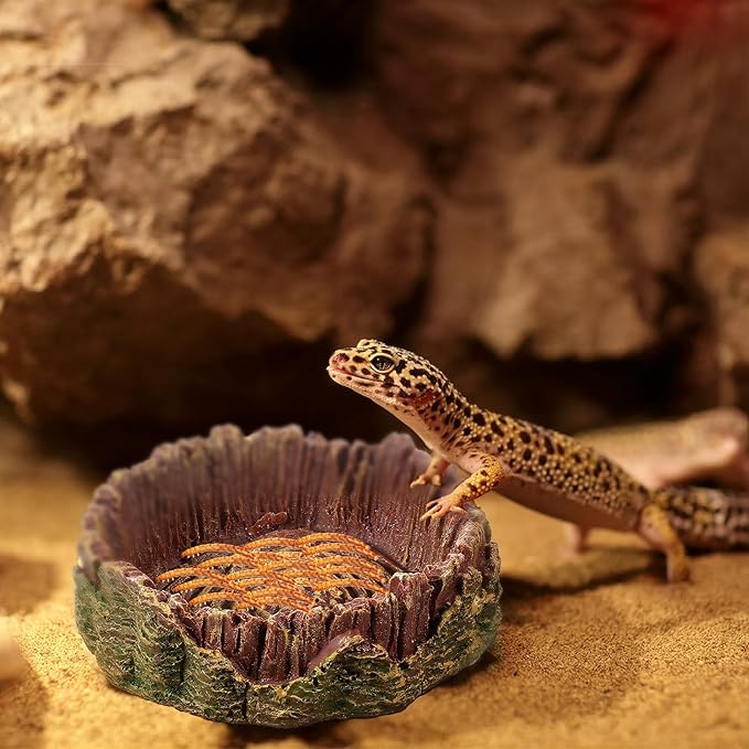 Bearded Dragon Food Bowl Small Reptile Water Dish, 2 Pack Reptile Bowl Feeding Large Food Bowls Water Dish for Hermit Crab Leopard Gecko Frog Tortoise Bearded Dragon Lizardtank Feeding(3 * 3 * 1in)