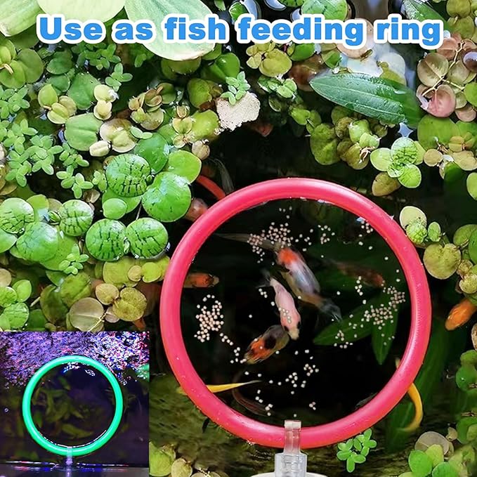 Betta Fish Toys - 4 Training Rings & 2 Bio Filter Balls, Beta Exercise Loop Toys and Nitrifying Balls Set, Betta Fish Tank Accessories Feeding Ring for Small Tank Decor Aquarium Water Conditioner