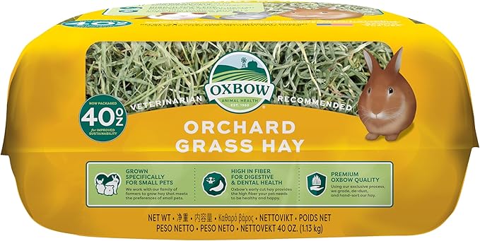 Oxbow Orchard Grass Hay for Small Pets – All-Natural Long Strand Fiber Hay for Rabbits, Guinea Pigs, Chinchillas, and Hamsters – Supports Digestive Health and Enrichment – 40 oz Bag