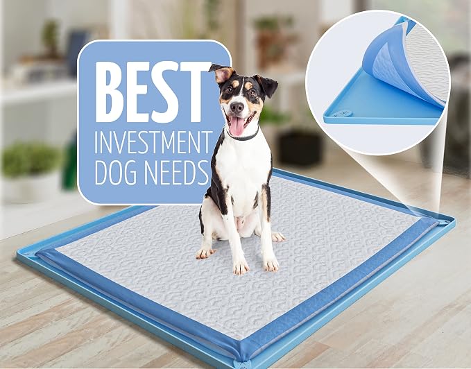 TidyFriend Dog Pee Pad Holder Tray Fits for 30” x 23” Pee Pads with Corner Lock Holes, Raised Edges, Non-Spill, Easy to Clean Silicone Dog Potty Tray Holder, for Indoor Floor Protection (Blue) | Corner Lock Holes, Raised Edges, Non-Spill, Easy to Clean...