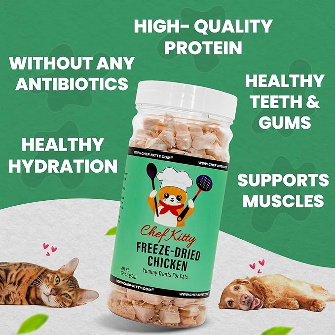 Freeze Dried Chicken Cat Treats | Healthy Dog Food Toppers 100% Human Grade | Single Ingredient, Grain Free Chicken Dog Treats | Inspected & Tested in USA | No Additives or Preservatives, 1.75 oz