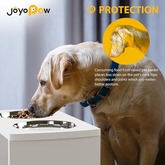 Elevated Dog Bowls, Waterproof Raised Dog Bowl for Medium & Large Dogs, HIPS Poly Lumber Stand with 2 Stainless Steel Bowls, Indoor & Outdoor Use (10'' Tall–48 oz Bowl, White)