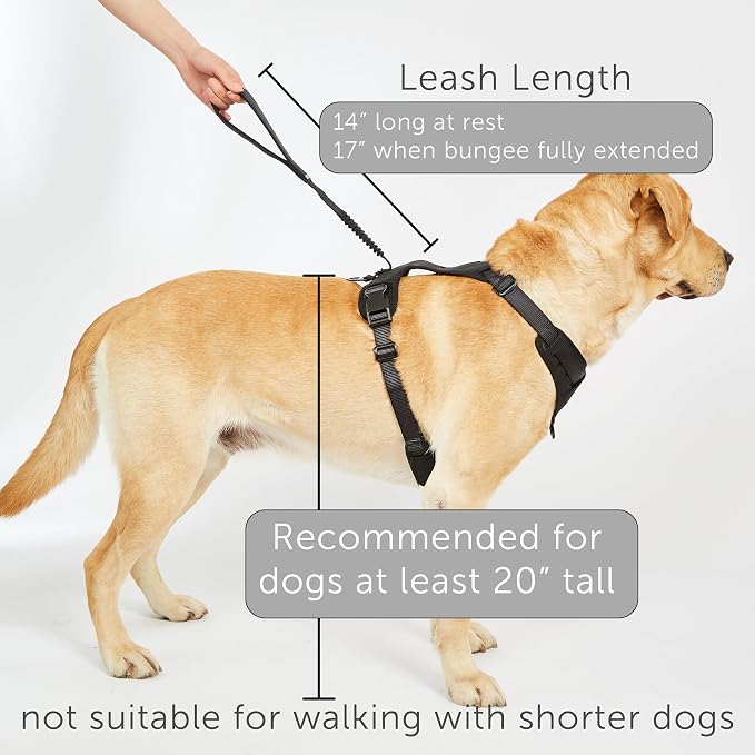 TUG Grab Dog Harness with Built-in Magnetic Traffic Leash (Large/Green) | Padded Magnetic Traffic Handle | Dual Leash Clips | 4-Point Adjustable Fit | Durable Nylon