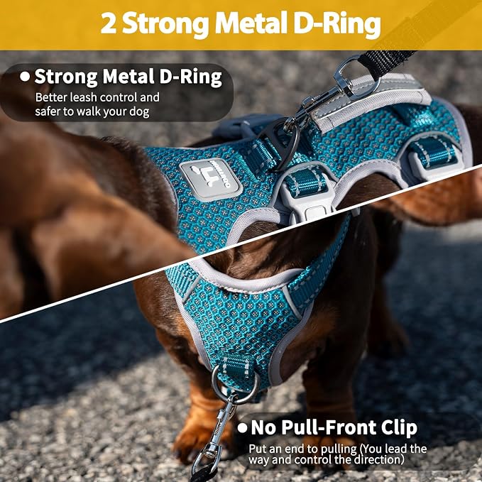 Escape Proof Dog Harness, No Pull Reflective Harness with Lift Handle, Adjustable Pet Vest with Front and Back Leash Clips for Small Medium Large Dogs Walking Hiking Training (Teal,L)