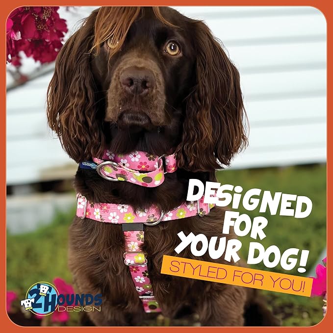 2 Hounds Design - Freedom No-Pull Harness & Training Leash in Pink Daisy | Dual Leash Loops, No Pulling on Walks | Lined to Prevent Chaffing | for Large Sized Dogs (Size M, Chest 24”- 28”)