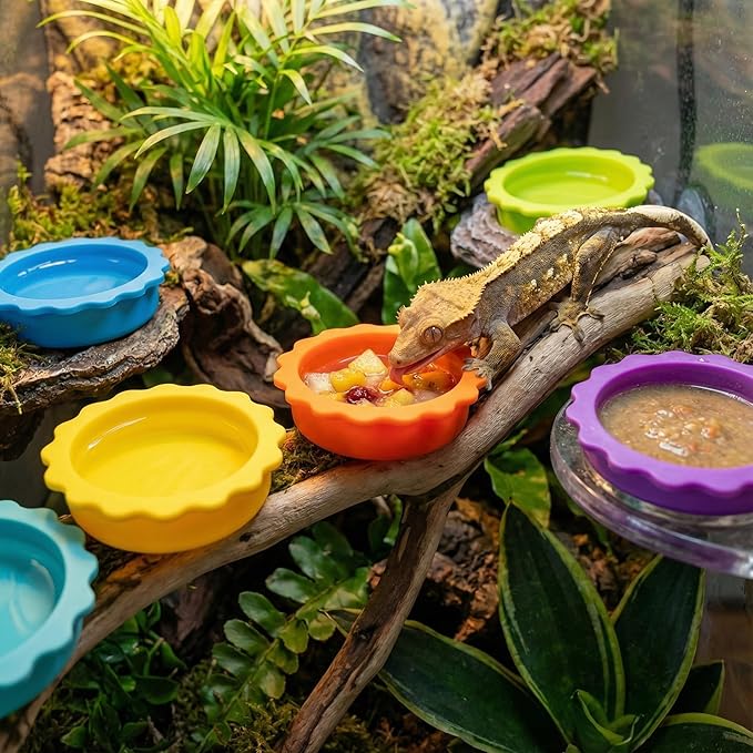 7 Pack Crested Gecko Food and Water Bowl, Eudimysx Reusable Small Reptile Feeding Dish, Gecko Tank Accessories for Hermit Crab, Tarantula, Isopods, Snails and Lizard, Silicone Easy Clean & 7 Colors