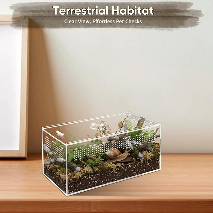 Jumping Spider Enclosure Set, Terrestrial Arboreal Combo, Acrylic Tarantula Terrarium, Praying Mantis Habitat, No Assembly, 2-Size Kit, Large