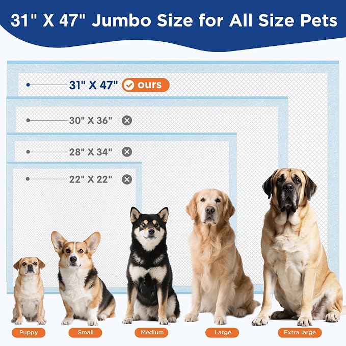 Extra Large Dog Pee Pads 31x47 Inch - Heavy Duty 6-Layer Leak-Proof, Super Absorbent & Quick-Dry for Potty Training, 40 Count