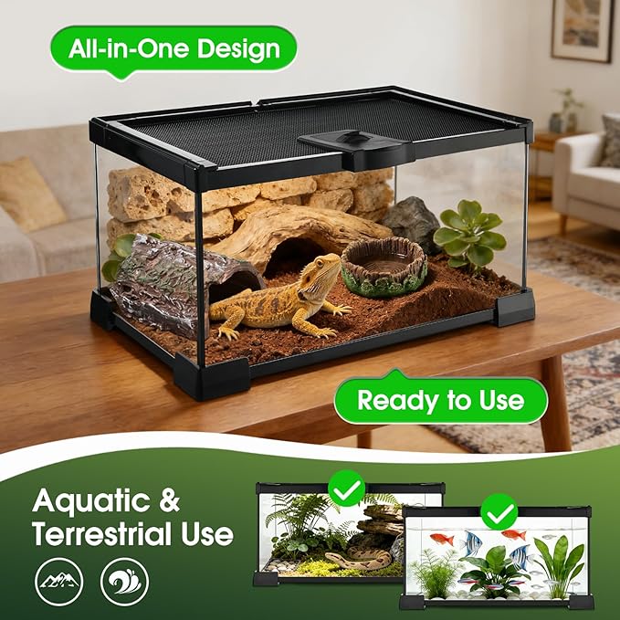 Reptile Terrarium Glass Kit 12" x 8" x 6" Starter Habitat for Tarantula, Succulents, Frogs, or Hermit Crabs, Tank with Escape-Proof Locking Lid
