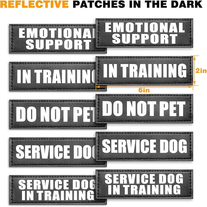 Service Dog Vest Harness for Large Dog, Tactical Working MOLLE Vest with 10 Pet Patches, No Pull Heavy Duty Harness for Training Hunting Walking