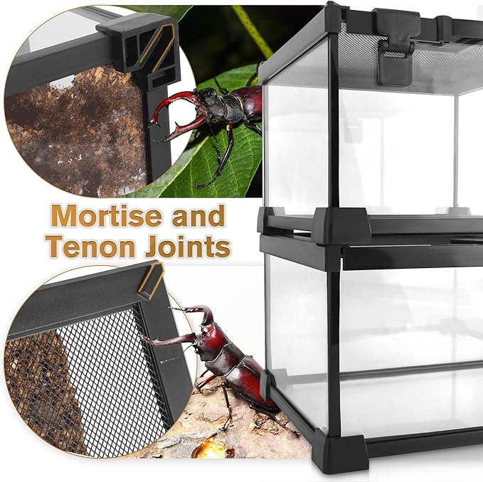 12"x8"x8" Reptile Terrarium, Escape-Proof Glass Terrestrial Vivarium for Hatchling Snakes Such as Corn Snakes, with Escape-Proof Lock & Feeding Hatch