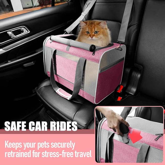 GAPZER Large Cat Carrier Soft, Collapsible Travel Pet Carry Bag, Small Dogs | Big Kitten Cat 20lbs Mainecoon, Top Open Travel Shih-Tzu Pet Kennel, Yorkie Small Dog 10 Pounds, 18x12x12, Durable Cloth Pink
